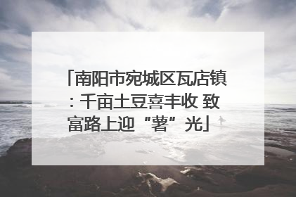 南阳市宛城区瓦店镇：千亩土豆喜丰收 致富路上迎“薯”光